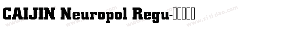 CAIJIN Neuropol Regu字体转换